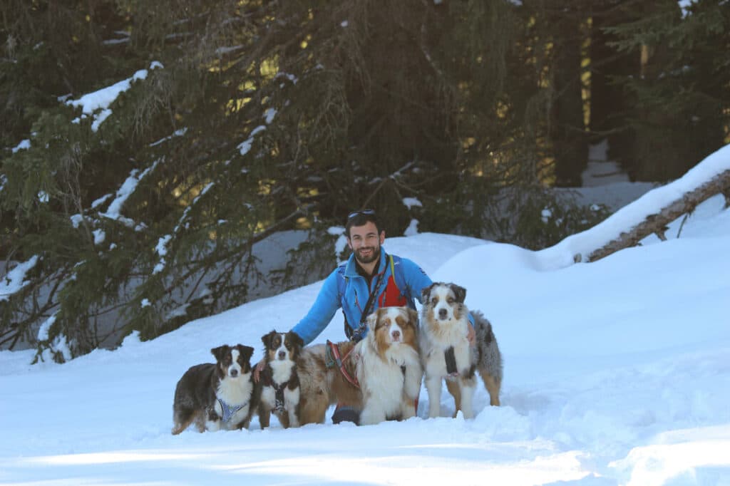 La vie de nos chiens : balade sous la neige